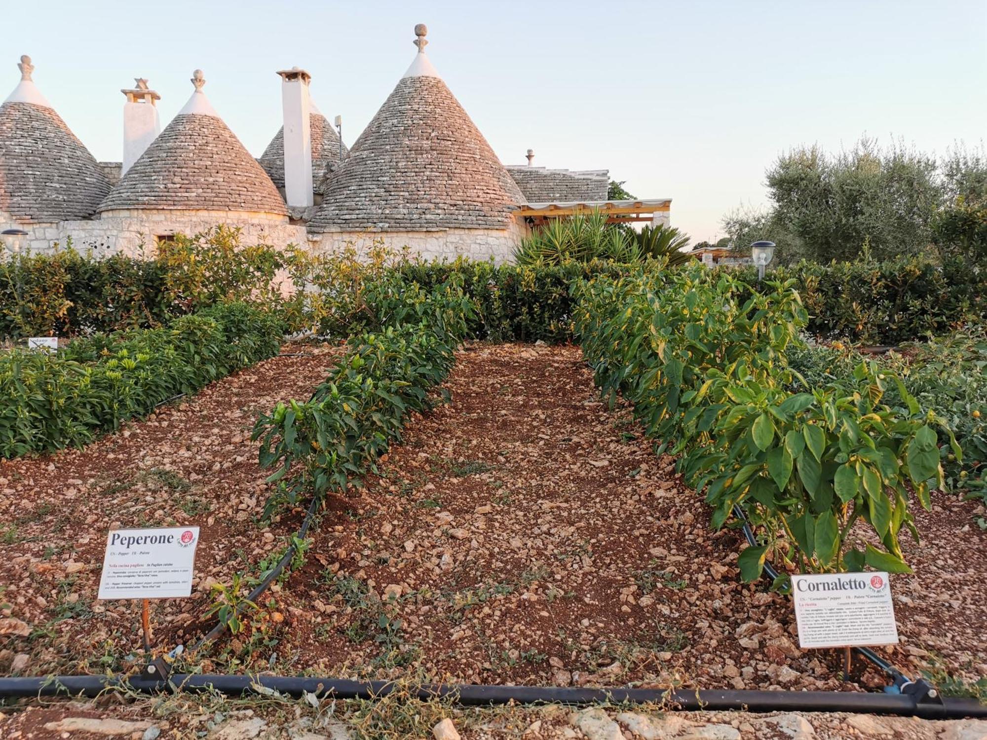 Trulli Il Castagno Martina Franca Exterior foto