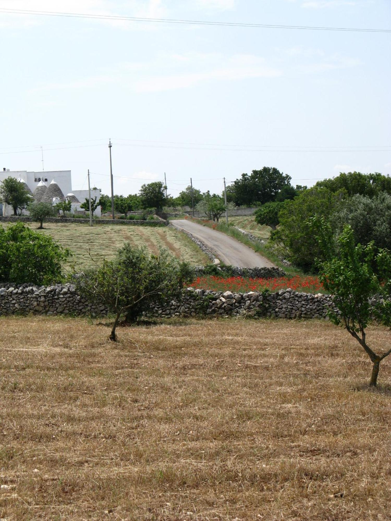 Trulli Il Castagno Martina Franca Exterior foto